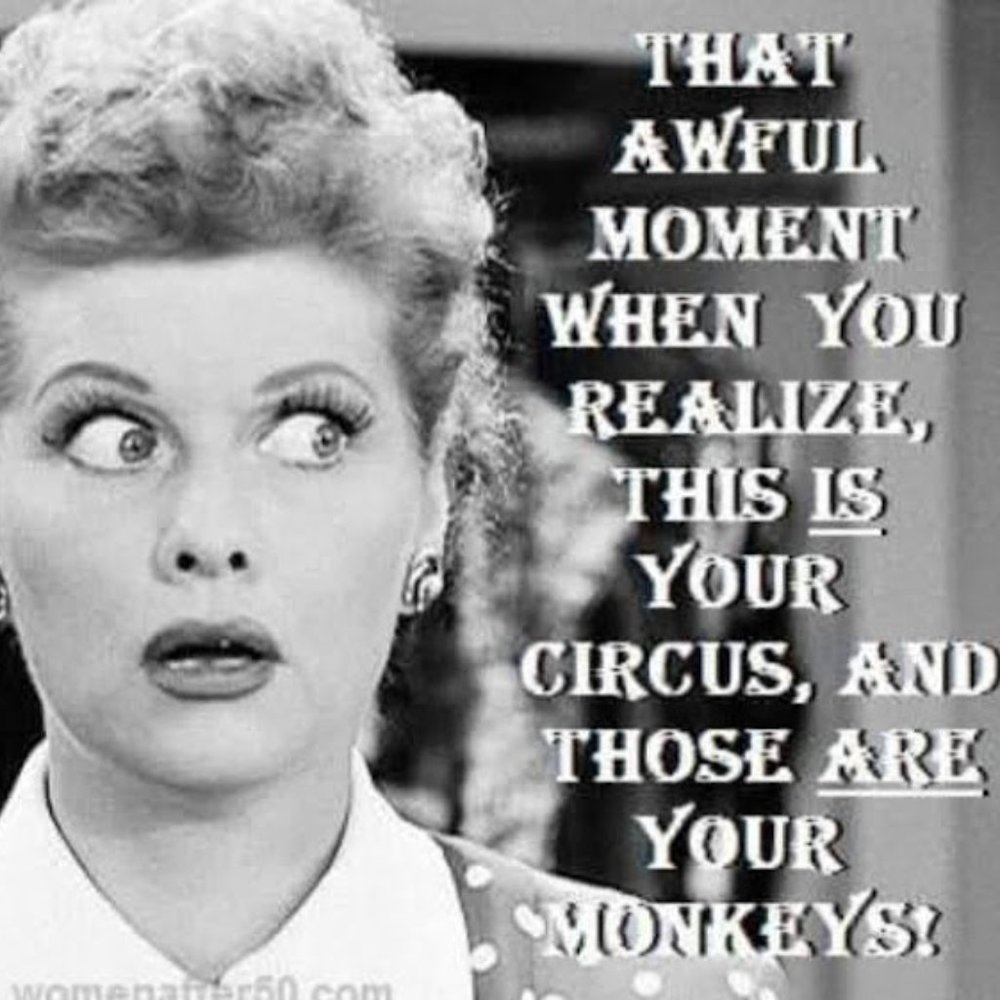 Meet your Posher, Rita